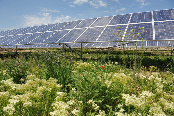 Solarmodule im PV Park Teutschenthal